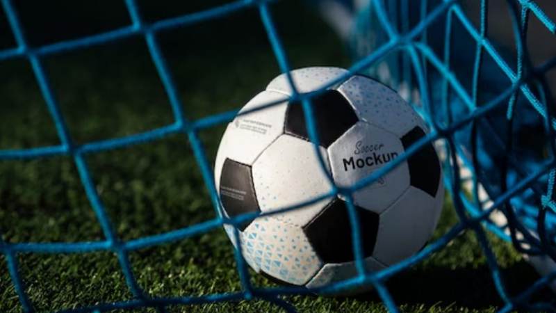 Bwin · 必赢(中国)唯一官方网站 换人名额与流程